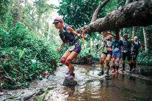 BIB: 
                            <button type="button" onclick="openModal(25369335)" class="btn btn-primary btn-sm float-right btn-popup" data-toggle="modal" data-target=".modal-high-quality">
                        <i class="fas fa-shopping-cart"></i> Add to Cart
                    </button>
                                            <button type="button" onclick="isThisMe(25369335, true)" class="btn btn-success btn-sm float-right btn-popup btn-isme hidden" data-toggle="tooltip" data-placement="bottom" title="นี่คือรูปของคุณใช่ไหม คลิกที่นี่เพื่อเอาเข้าอัลบั้ม">
                        <i class="fas fa-plus"></i> Add to album
                    </button>
                    <button type="button" onclick="isThisMe(25369335, false)" class="btn btn-warning btn-sm float-right btn-popup btn-isnotme hidden">
                        <i class="fas fa-ban"></i> Remove from album
                    </button>